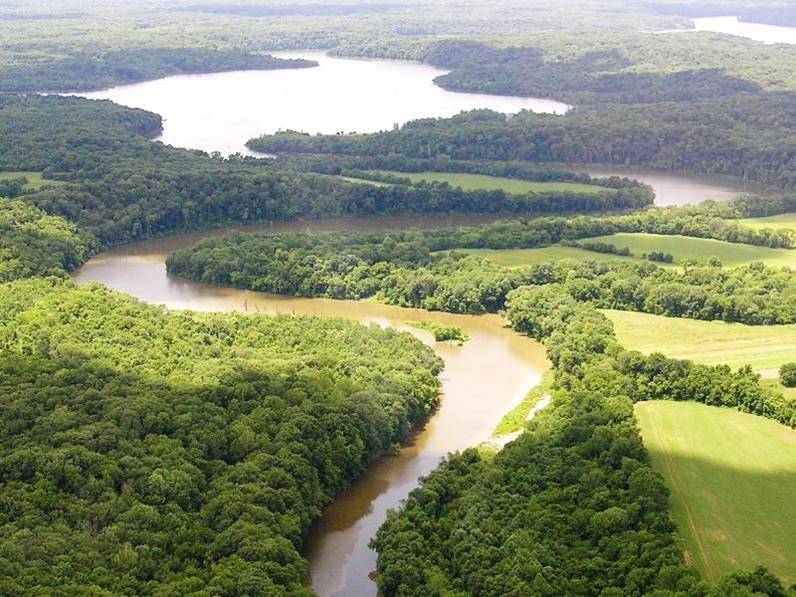 Overview of East Fork